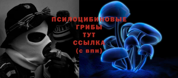 2c-b Аркадак