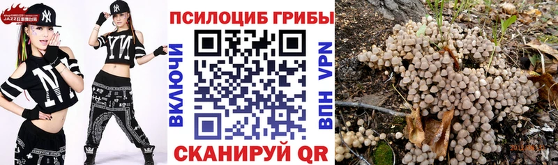 Галлюциногенные грибы Magic Shrooms  Спасск-Дальний 